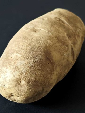 photo of a russet potato