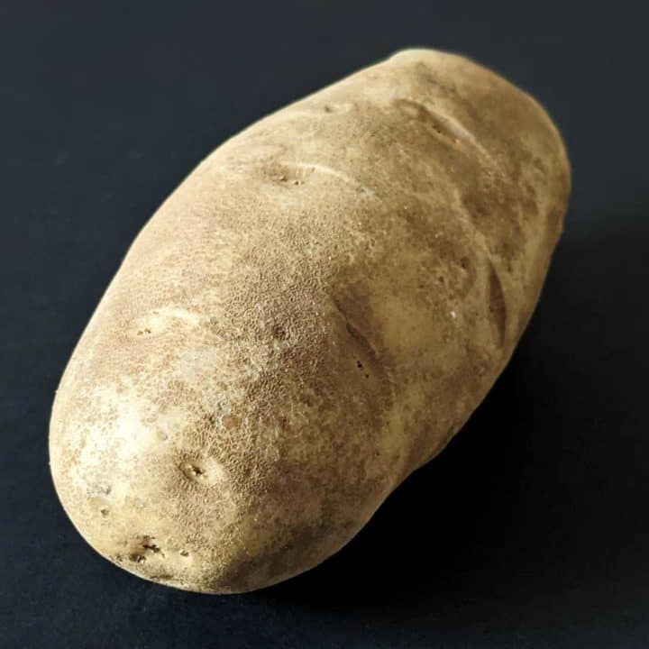 photo of a russet potato
