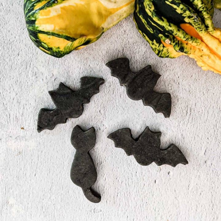 Overhead photo of black sesame marzipan bats and cat next to a group of assorted colorful gourds