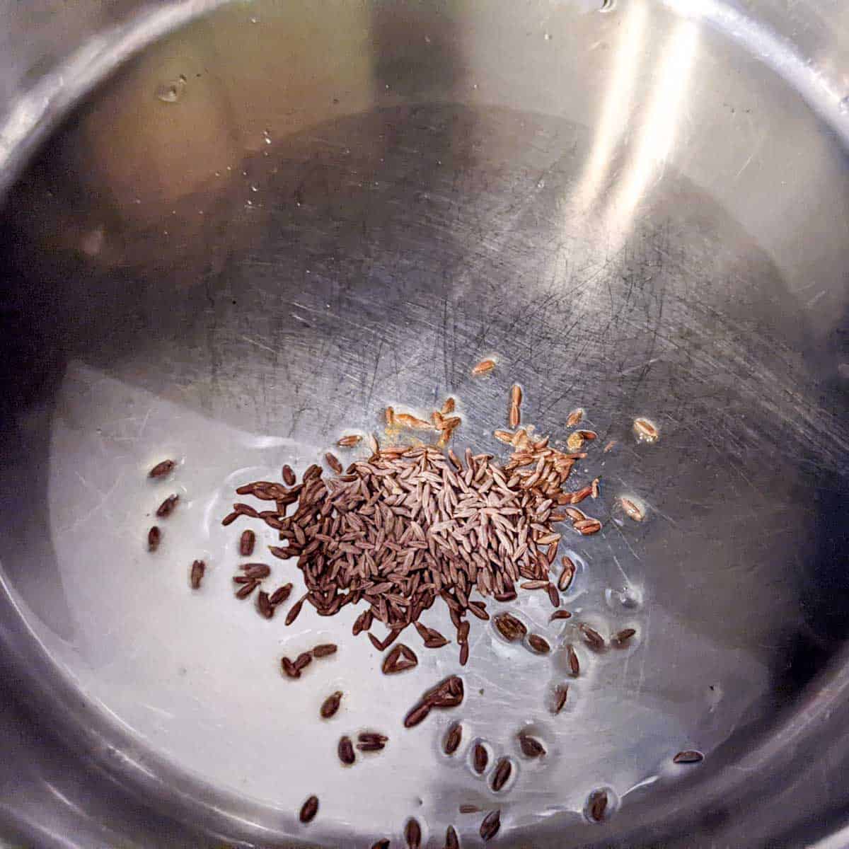 Photo of a stainless steel pan with oil and cumin seeds
